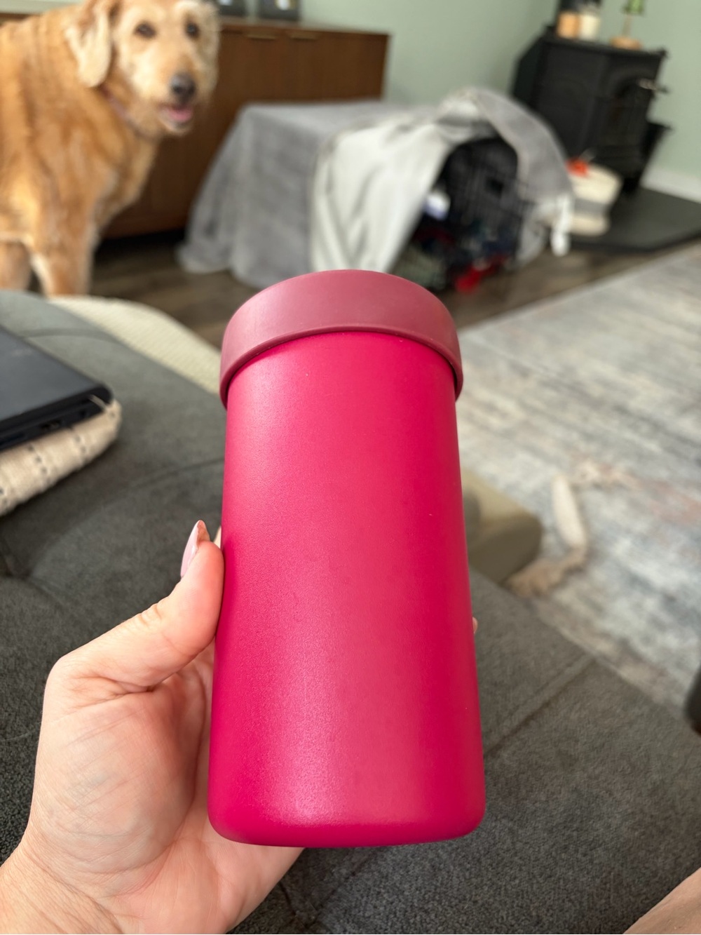 Hydro Flask Bright Raspberry Cooler Cup - Picture 2 of 5